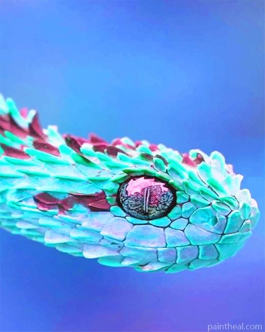 Blue and Purple African Bush Viper Painting By Numbers Kits