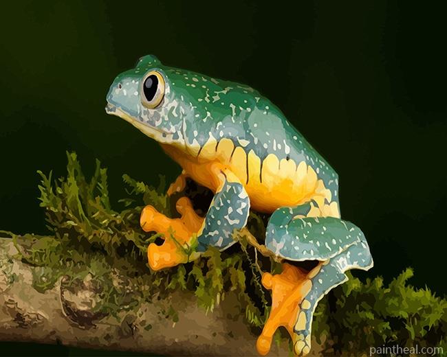 Fringed Leaf Frog Painting By Numbers Kits
