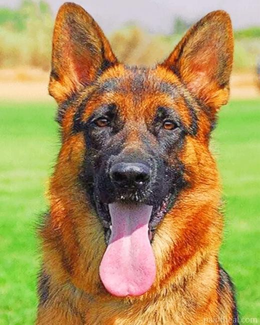 German Shepherd – 5D Diamond Paintings Painting By Numbers Kits