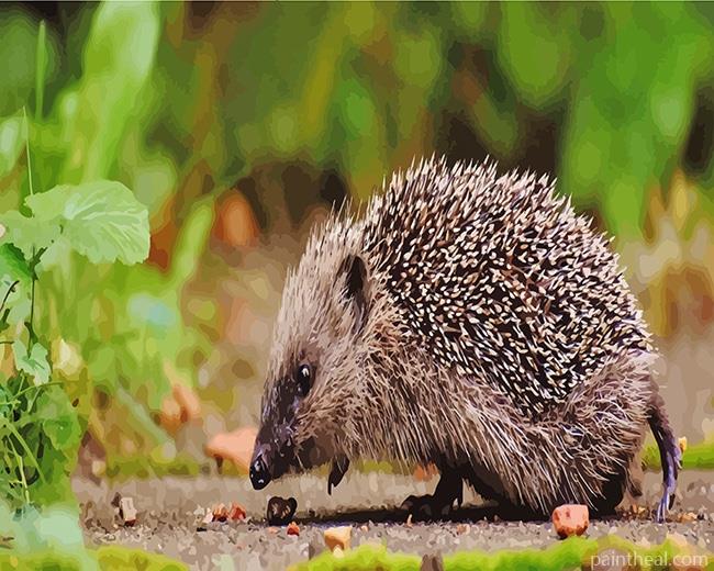 Hedgehog Painting By Numbers Kits