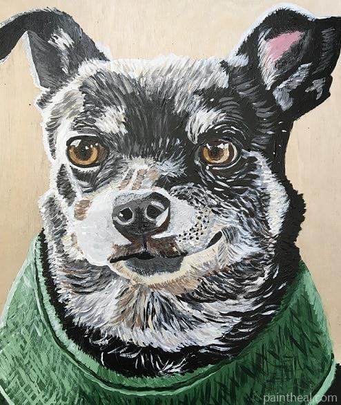 Chihuahua Dog Animal Painting By Numbers Kits