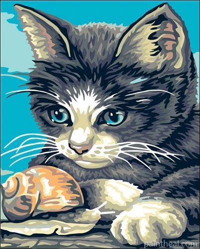 Snail And Cat Painting By Numbers Kits