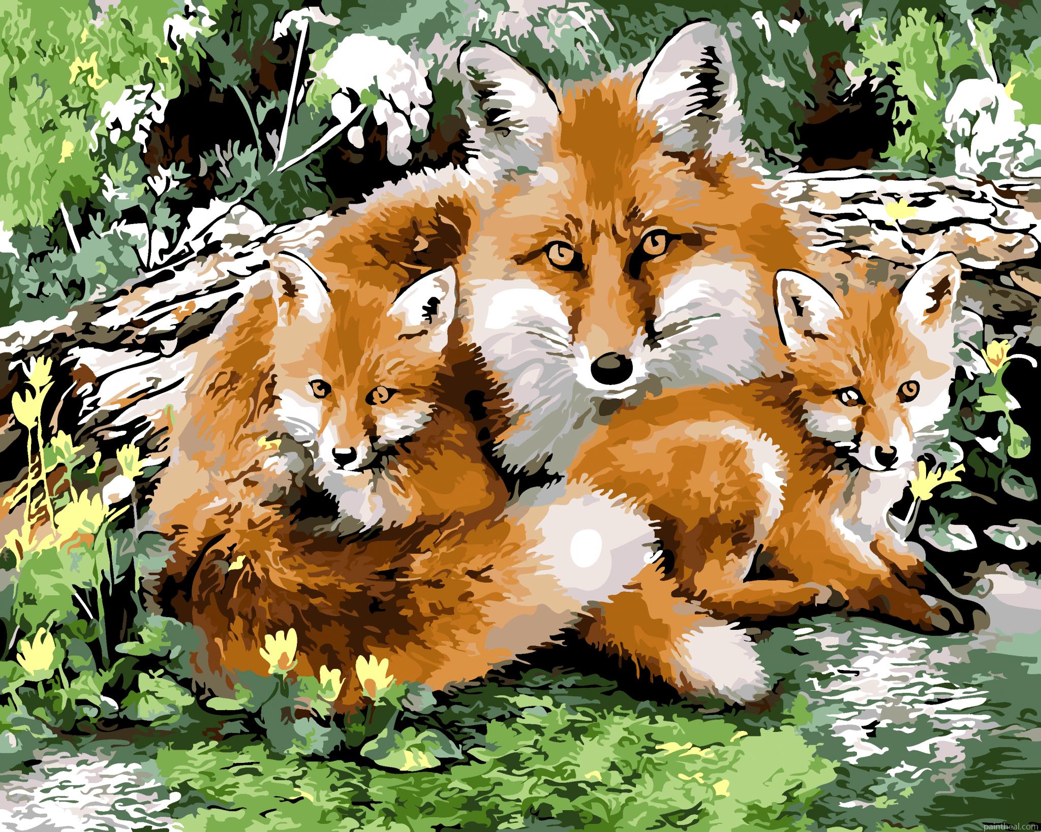 Wild Fox Family Painting By Numbers Kits