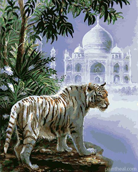 The Indian White Tiger Painting By Numbers Kits