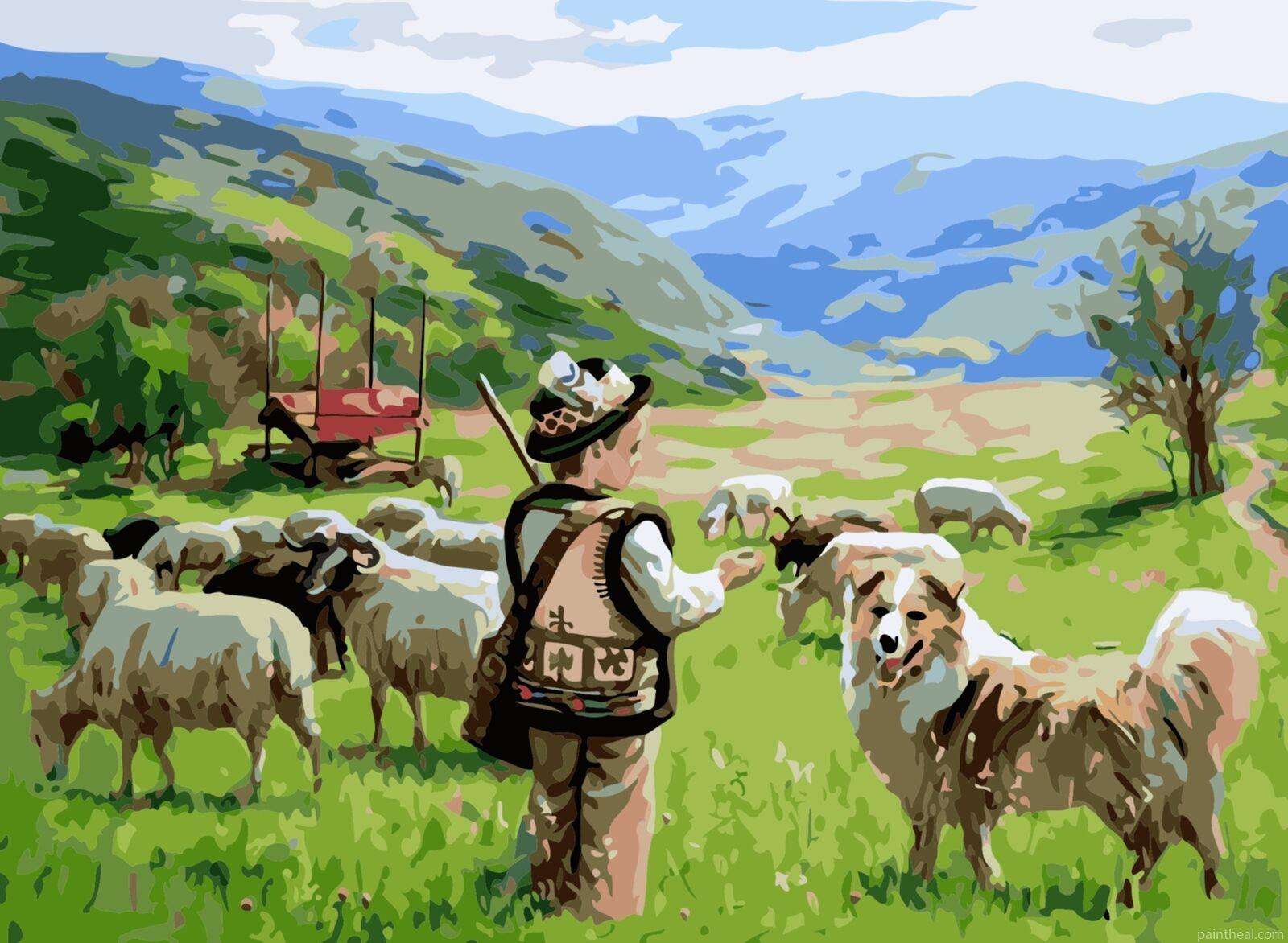 Shepherd Boy With Herd Painting By Numbers Kits