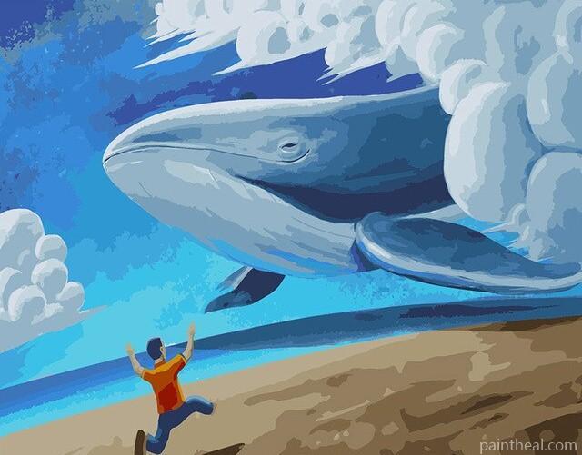 Sleepy Whale Painting By Numbers Kits