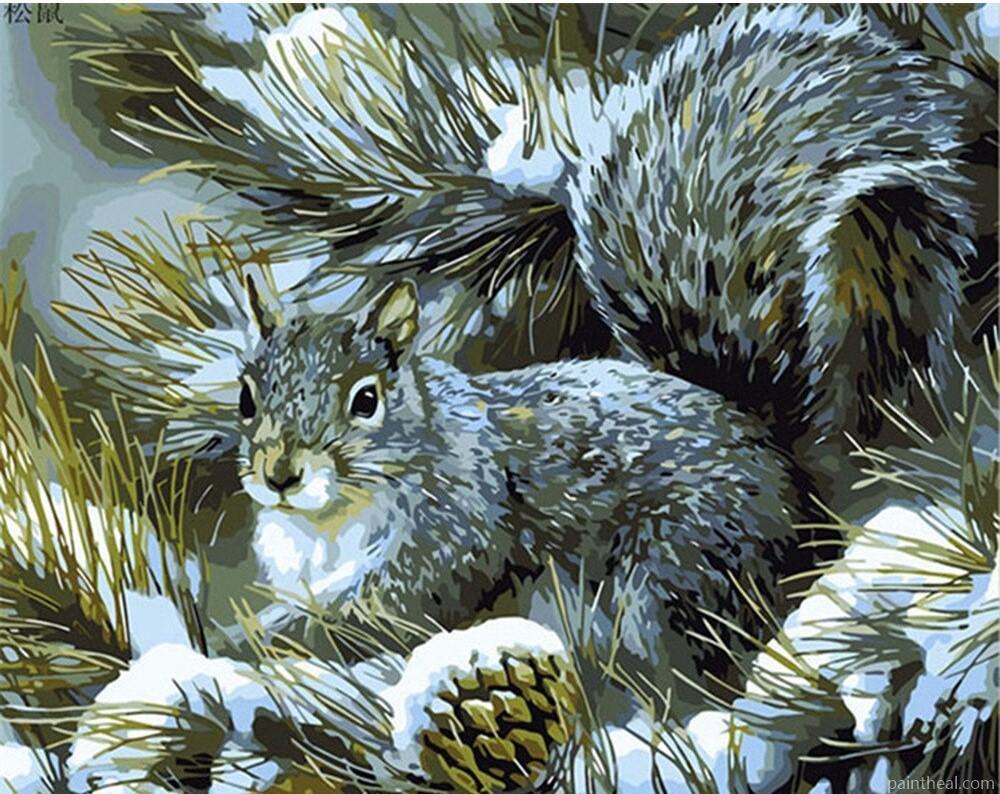 Winter Squirrel Painting By Numbers Kits