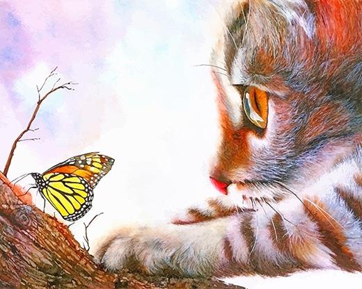 Kitten And Butterfly Painting By Numbers Kits