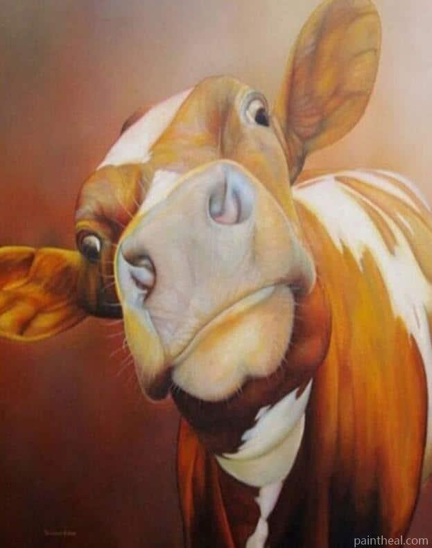 White And Brown Cow Painting By Numbers Kits