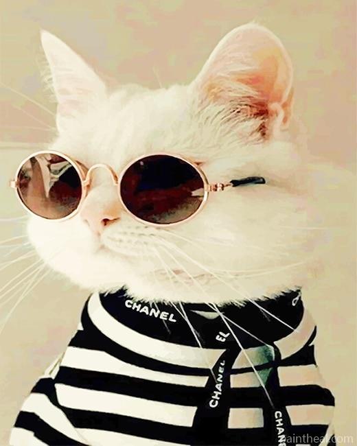 Cool Stylish Cat Painting By Numbers Kits