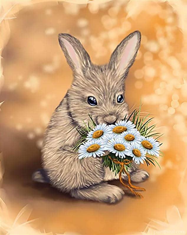 Rabbit And Daisies Painting By Numbers Kits