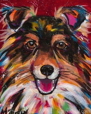 Colorful Sheepdog Painting By Numbers Kits