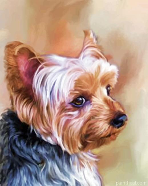 Yorkie Portrait Painting By Numbers Kits