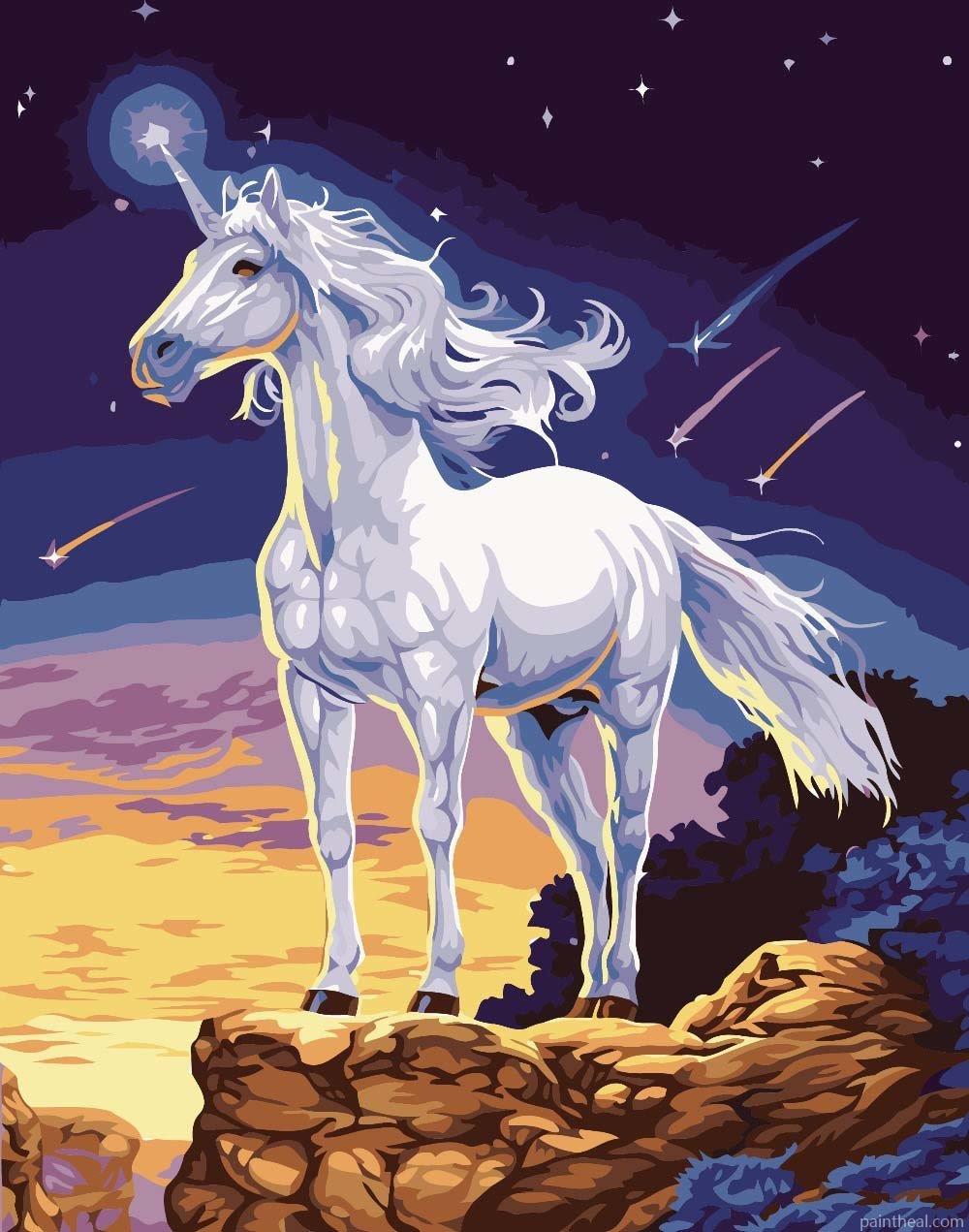 White Unicorn Horse Painting By Numbers Kits