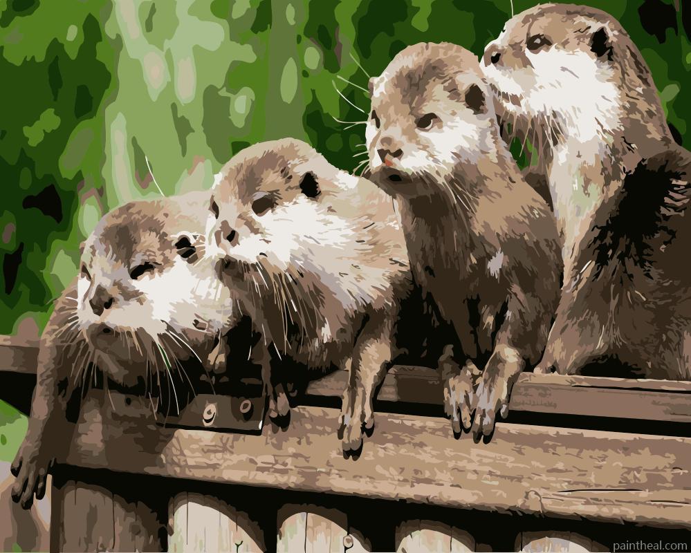 Otters Animals Painting By Numbers Kits