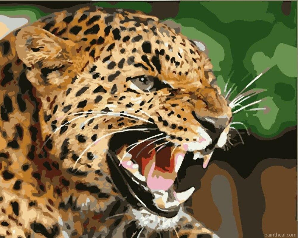 Angry Jaguar Painting By Numbers Kits