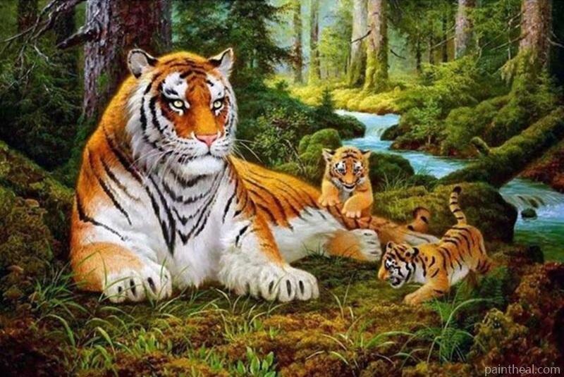 Tiger Family Painting By Numbers Kits