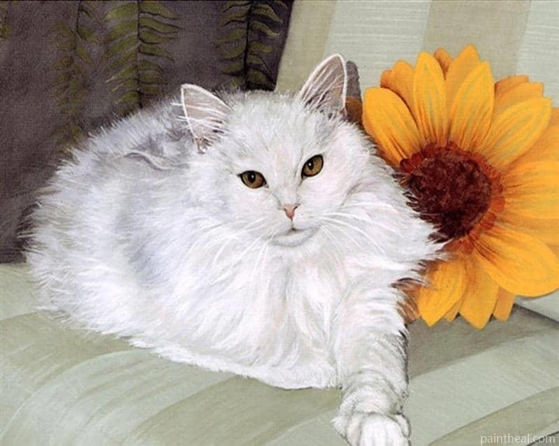 White Cat Painting By Numbers Kits