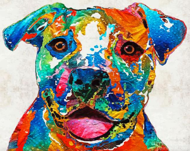 Colorful Staffy Dog Painting By Numbers Kits