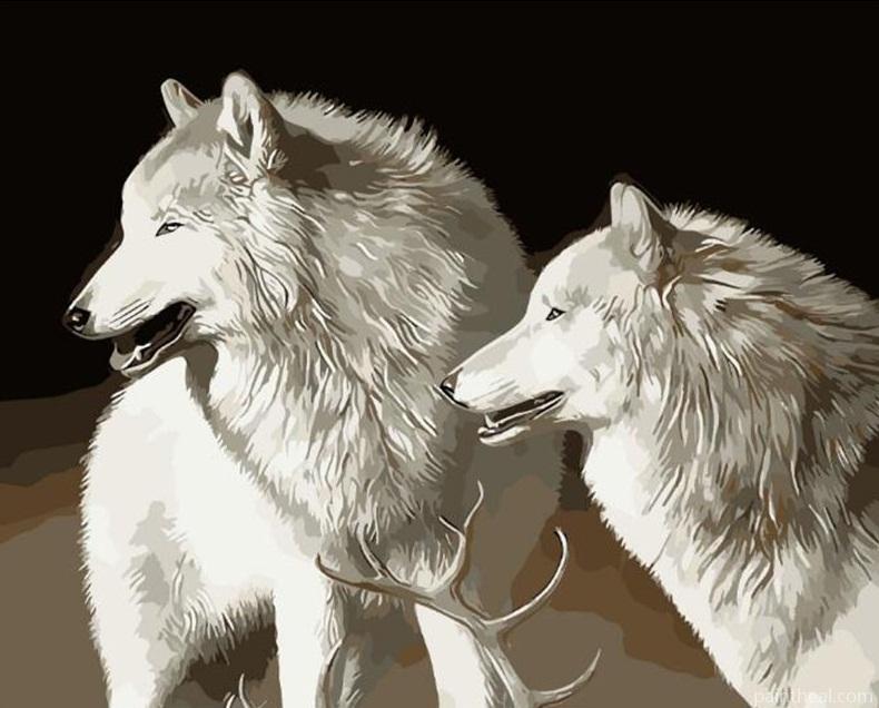 White Wolves Painting By Numbers Kits