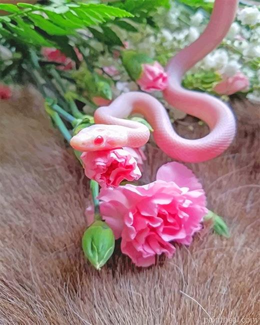 Pink Snake With Flowers Painting By Numbers Kits