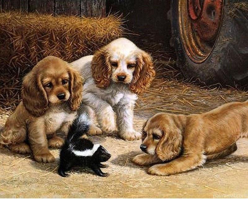 Puppies In Farm Painting By Numbers Kits