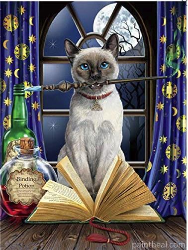Hocus Pocus Cat Painting By Numbers Kits