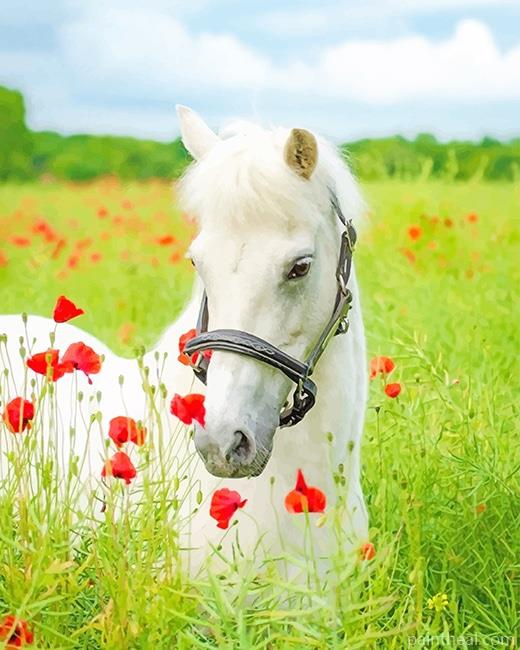 White Horse Flowers Field Painting By Numbers Kits