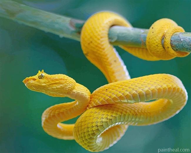 Yellow Snake On Branch Painting By Numbers Kits
