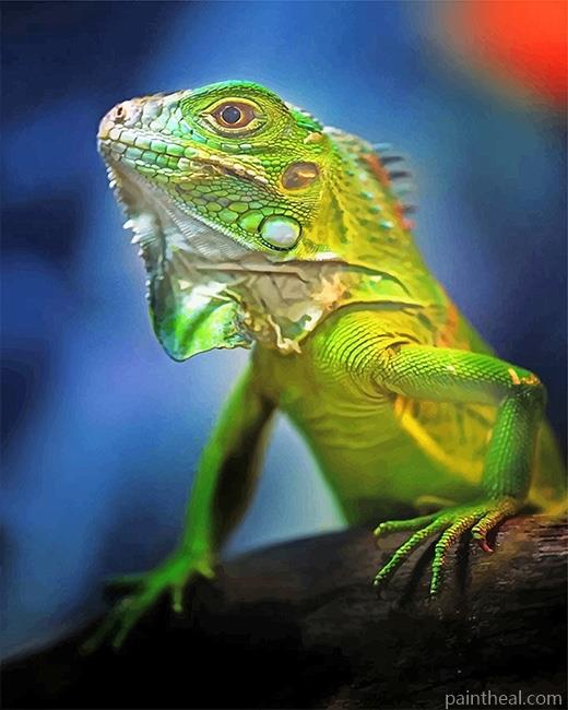 Green Iguana Painting By Numbers Kits