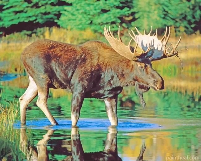 Bull Moose Animal Painting By Numbers Kits
