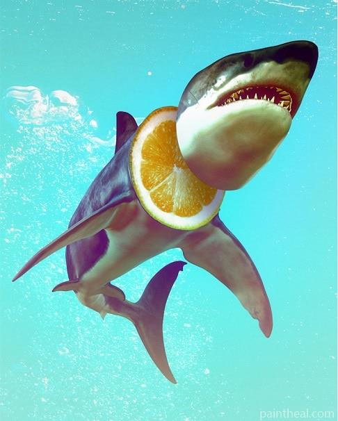 Lemon Shark Art Painting By Numbers Kits