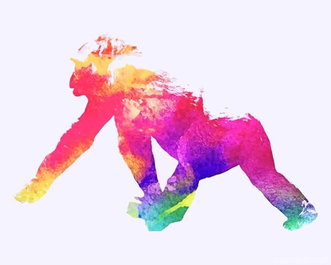 Colorful Gorilla Painting By Numbers Kits