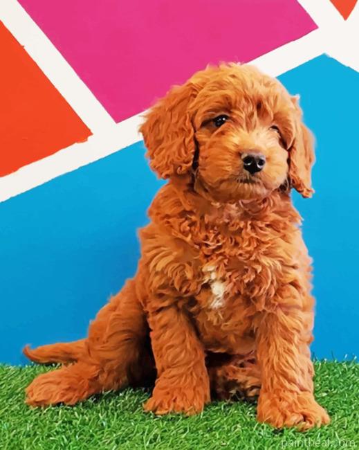 Mini Golden Doodle Painting By Numbers Kits
