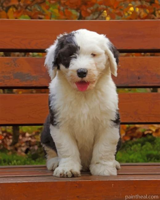 Old English Sheepdog Painting By Numbers Kits