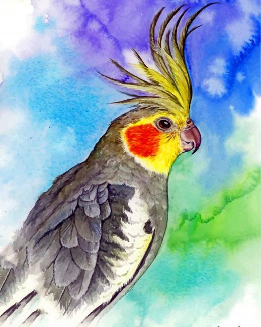 Aesthetic Cockatiel Painting By Numbers Kits
