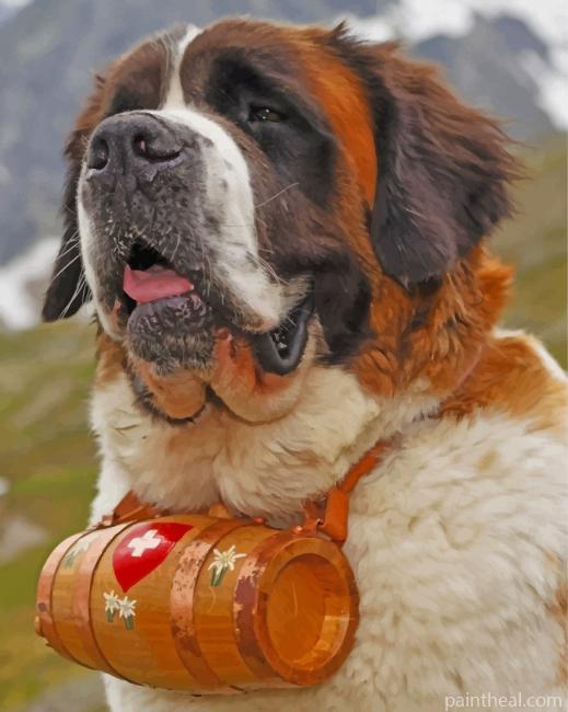 Saint Bernard Painting By Numbers Kits