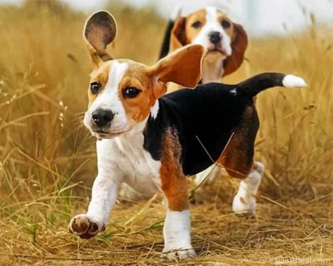 Cute Beagles Painting By Numbers Kits