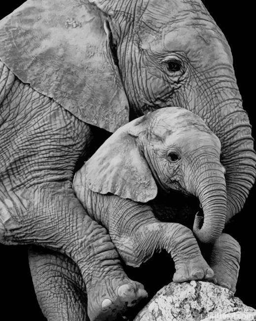 Mum Elephant and Her Baby Painting By Numbers Kits