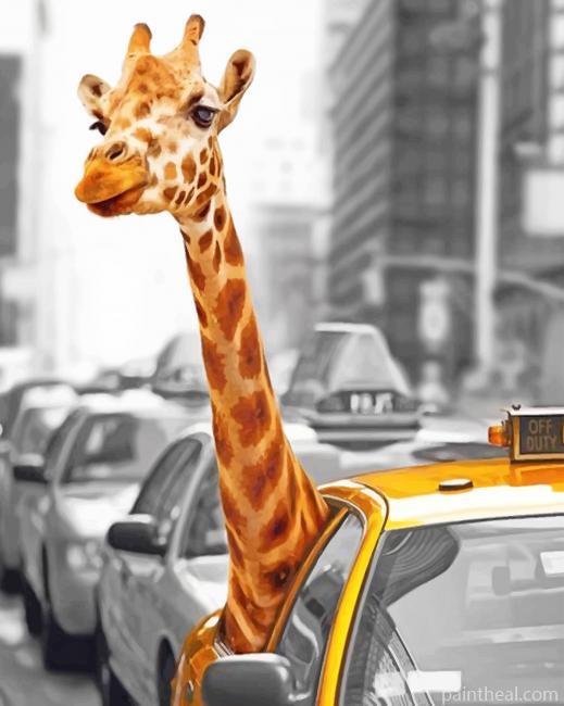 Giraffe Looking Through Taxi Window Painting By Numbers Kits