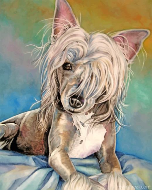Chinese Crested Art Painting By Numbers Kits
