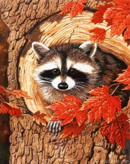 Raccoon In The Fall Painting By Numbers Kits