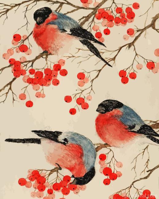 Bullfinch Birds Painting By Numbers Kits