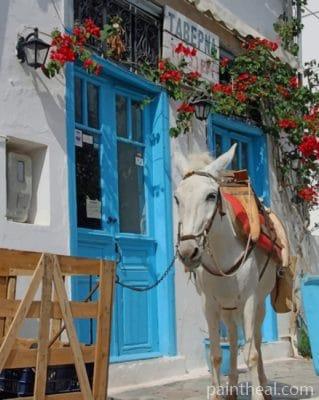 White Donkey In Greece Painting By Numbers Kits