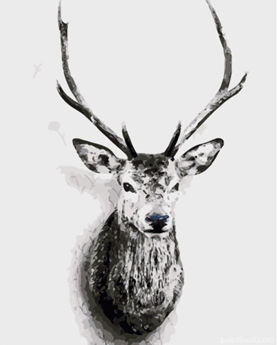 Deer Portrait Painting By Numbers Kits