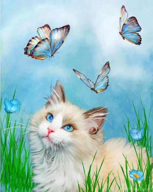 Kitty And Butterflies Painting By Numbers Kits