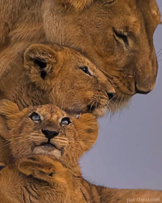Lion Family Painting By Numbers Kits