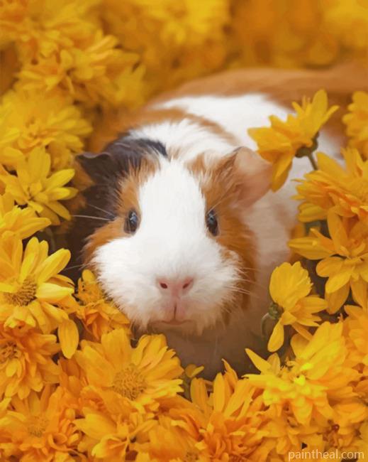 Guinea Pig Painting By Numbers Kits