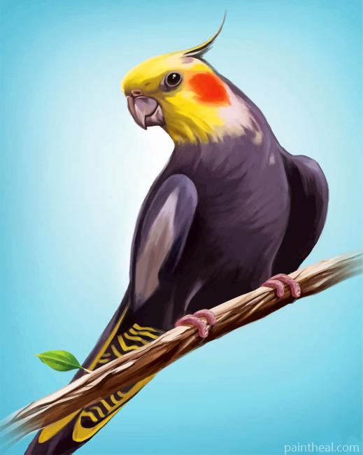 Aesthetic Cockatiel Bird Painting By Numbers Kits