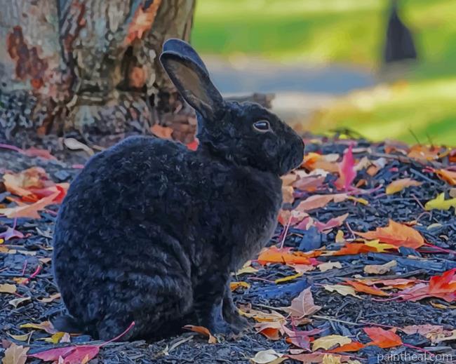Black Rabbit Bunny Hare Wildlife Painting By Numbers Kits